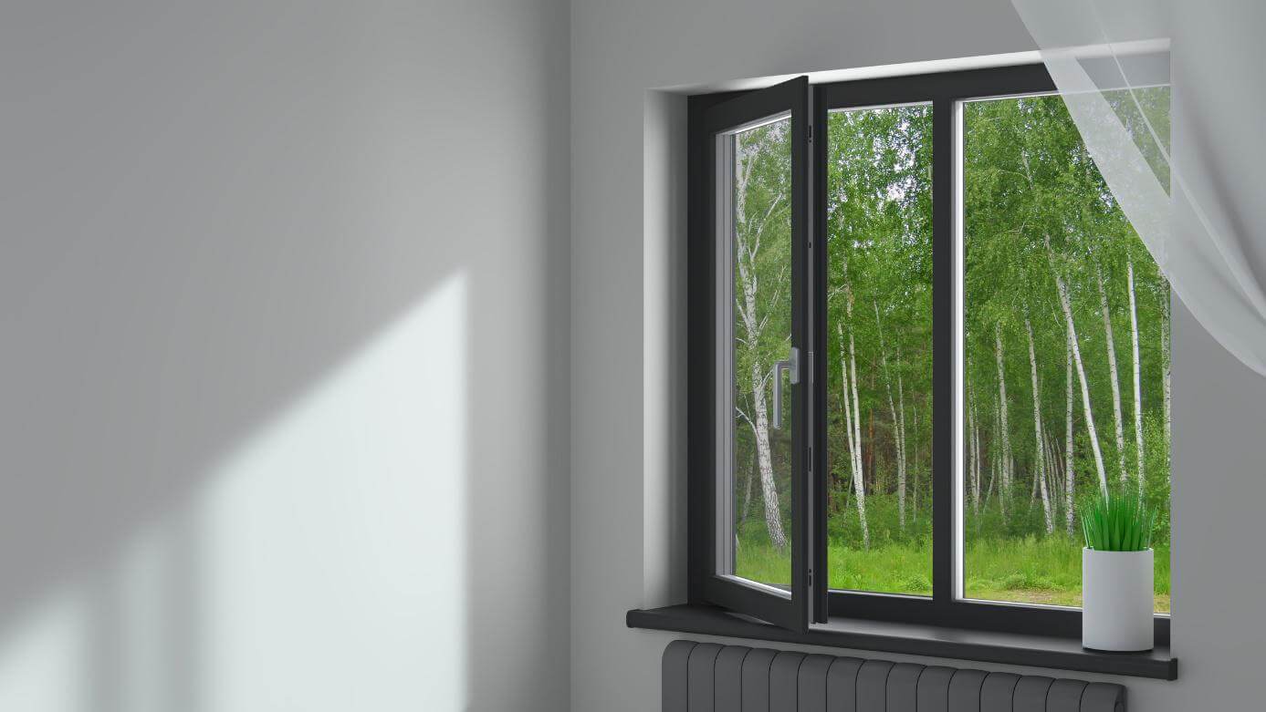 Geöffnetes Kunststofffenster mit Blick auf einen Birkenwald