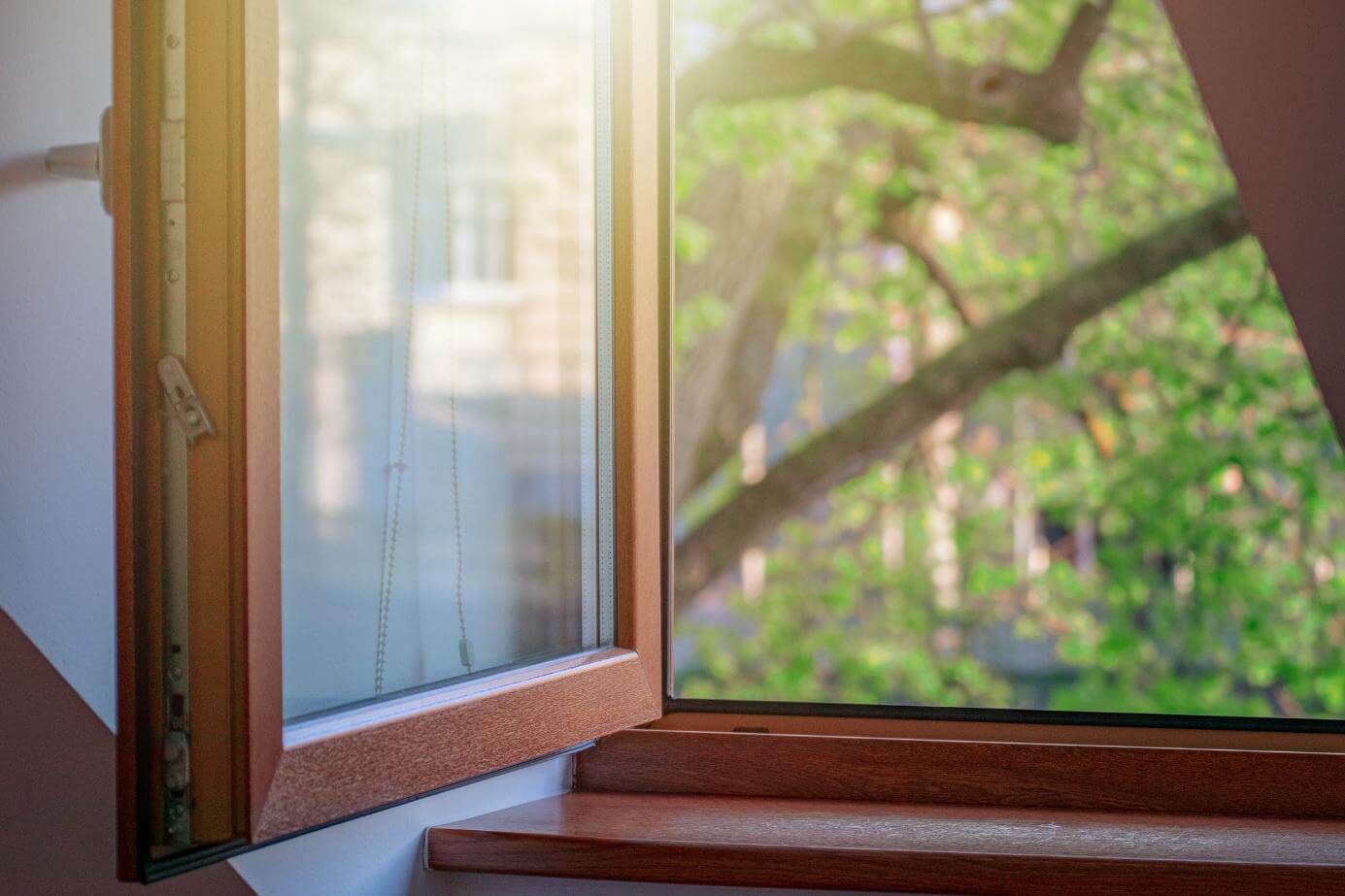 Geöffnetes Holzfenster mit Dreifachverglasung und Blick ins grüne Baumlaub.
