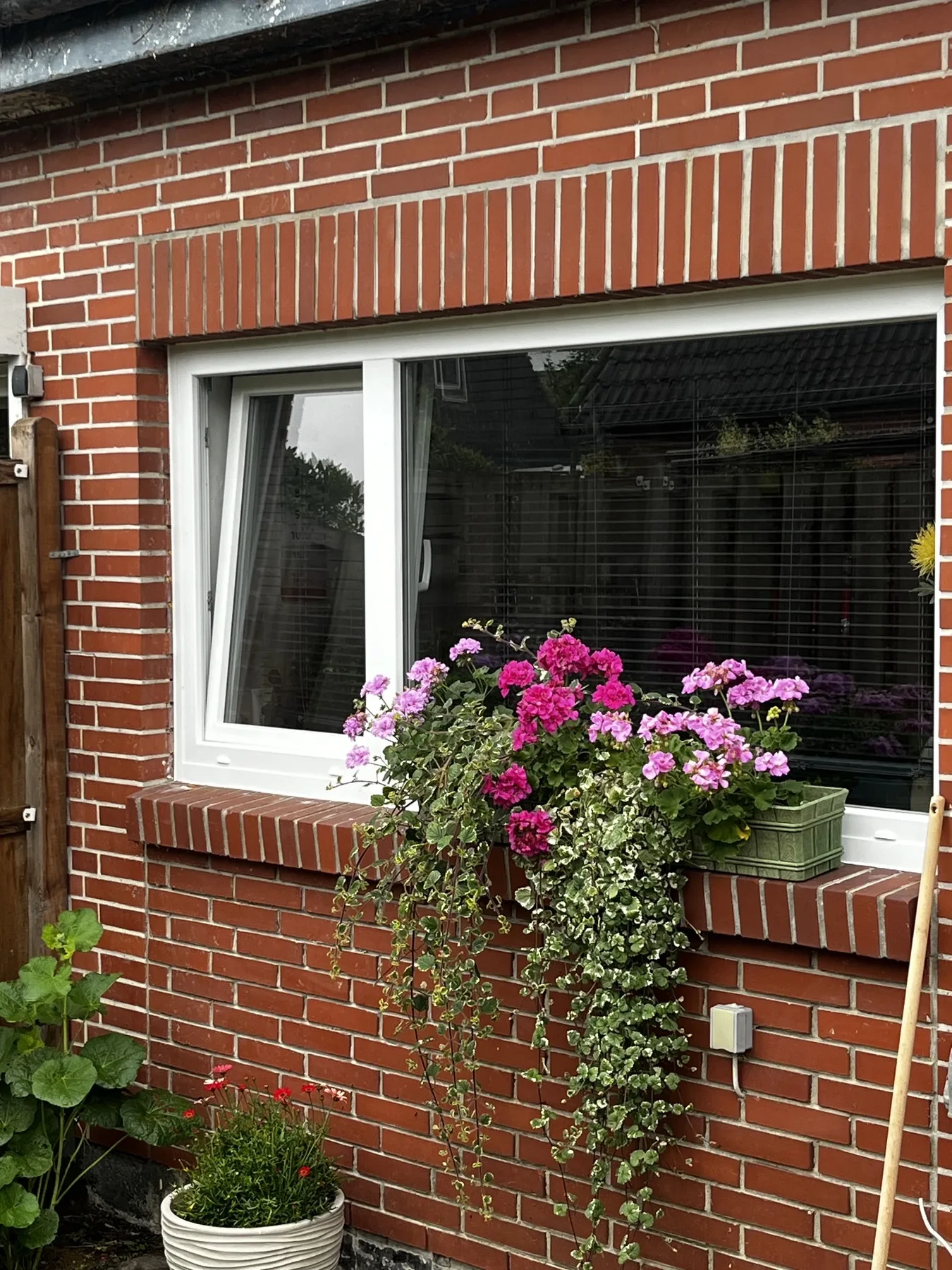 Eingebaute Fenster von Tomasz O.