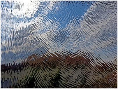 Chinchilla-Glas mit verzerrtem Blick nach draußen