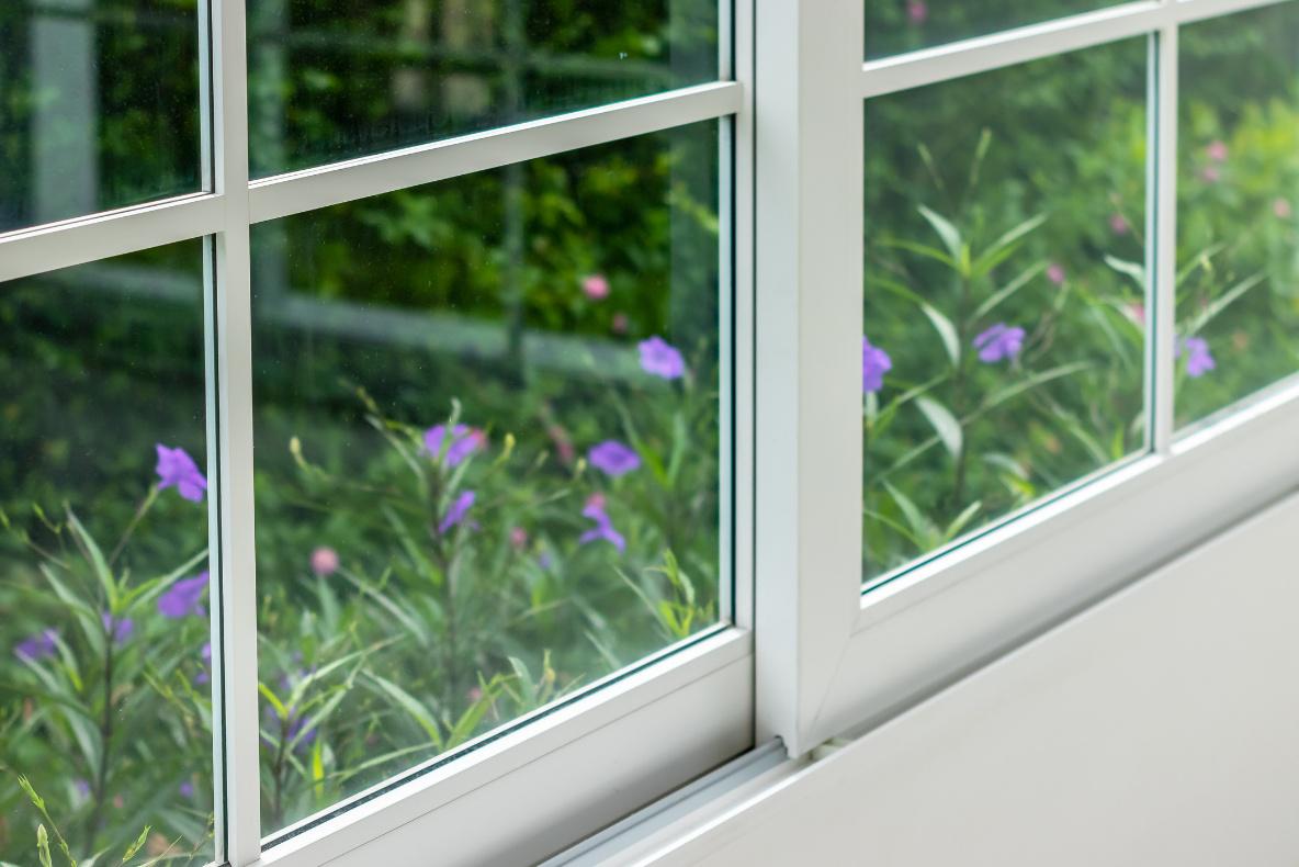 Nahaufnahme eines Fensters mit wei&szlig;en Rahmen, das einen gr&uuml;nen Garten mit lila Blumen zeigt.