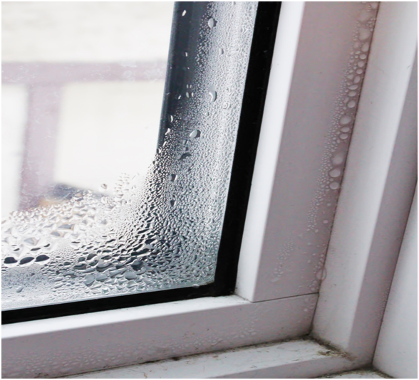 Teil eines Fensters, an dem sich Kondenswasser gebildet hat