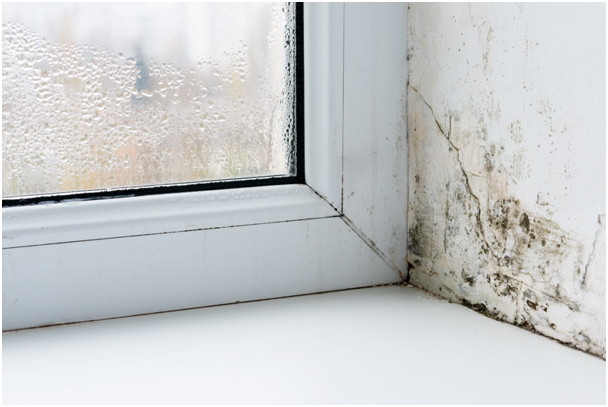 Beschlagenes, feuchtes Fenster mit Schimmel an der Wand