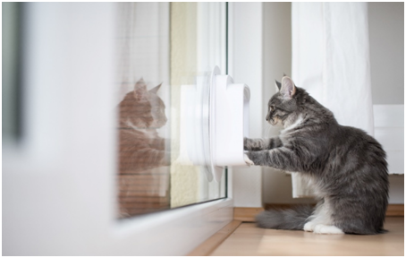 Eine Katze sitzt vor einer Fenster-Katzenklappe