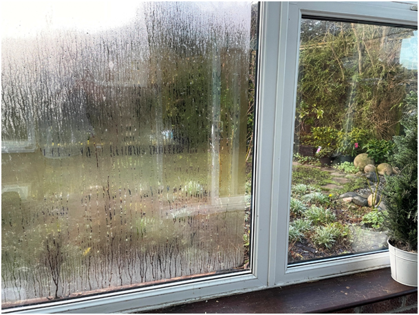 Kondenswasser am Fenster verdeckt die Sicht auf einen Garten