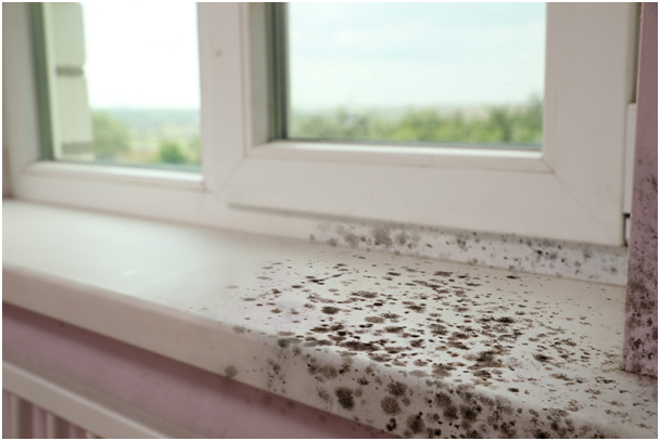Schimmelflecken auf einer Fensterbank