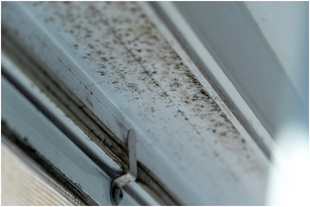 Alt-Attribut: Schimmelbildung an Fensterrahmen, Rollladenkasten und Dichtungen.