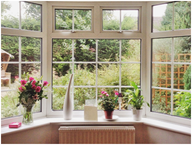 Erkerfenster mit Pflanzen und Blumenvase auf der Fensterbank