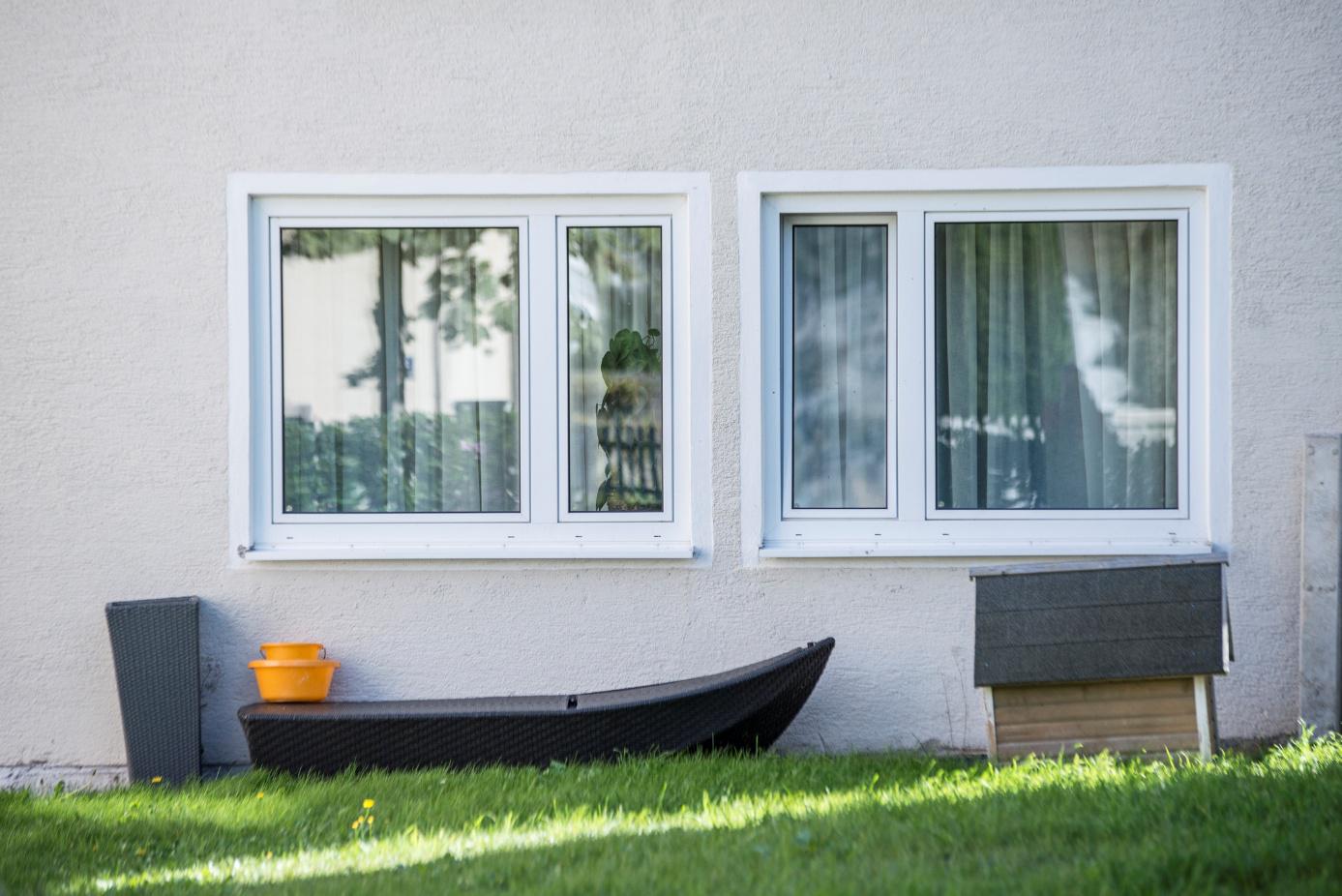 Zwei Fenster mit weißen Rahmen an einer Wand, ein Pflanztöpfe stehen darunter, mit grünen Wiesen im Vordergrund.